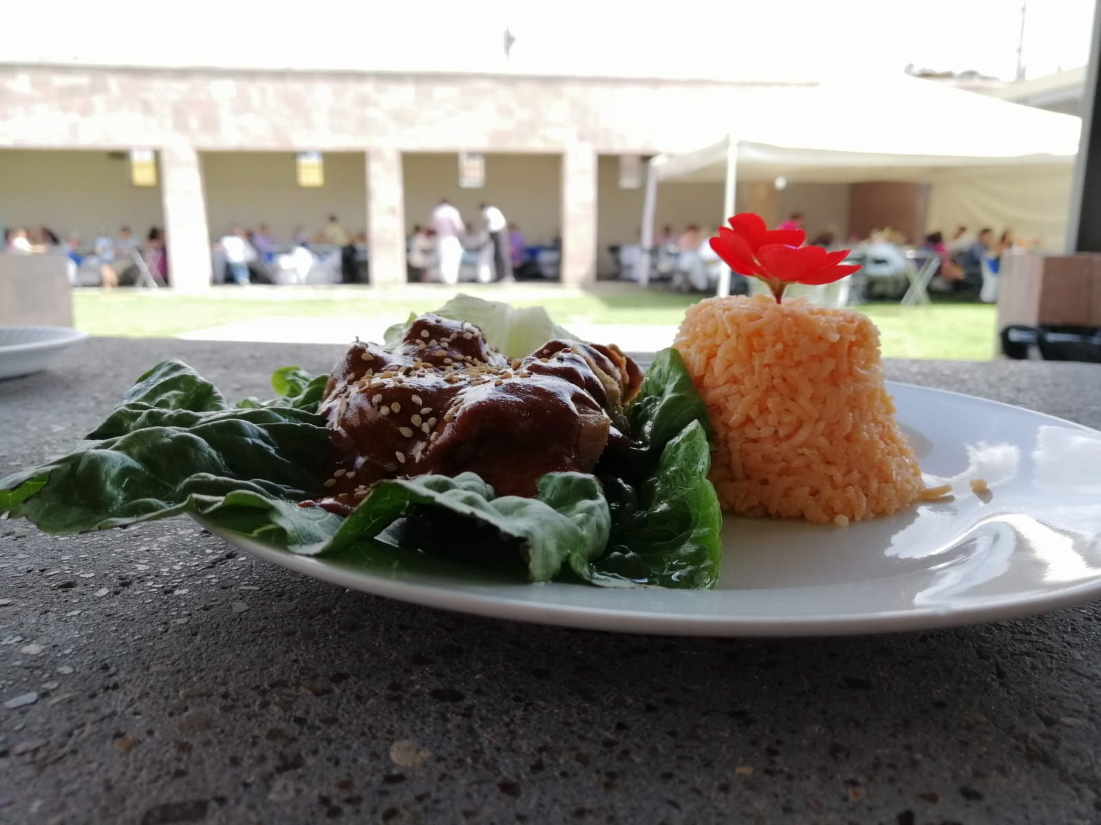 Montaje de Buffet Spagetti